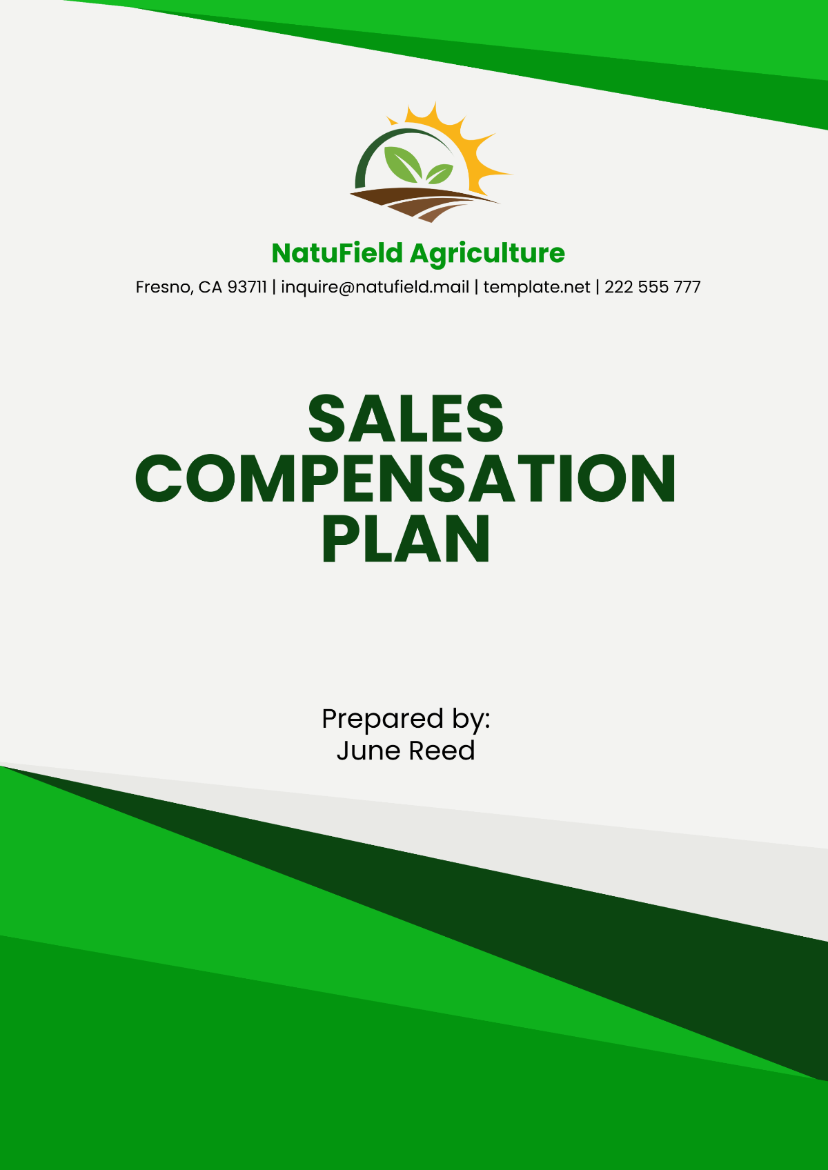Free Sales Compensation Plan Template to Edit Online