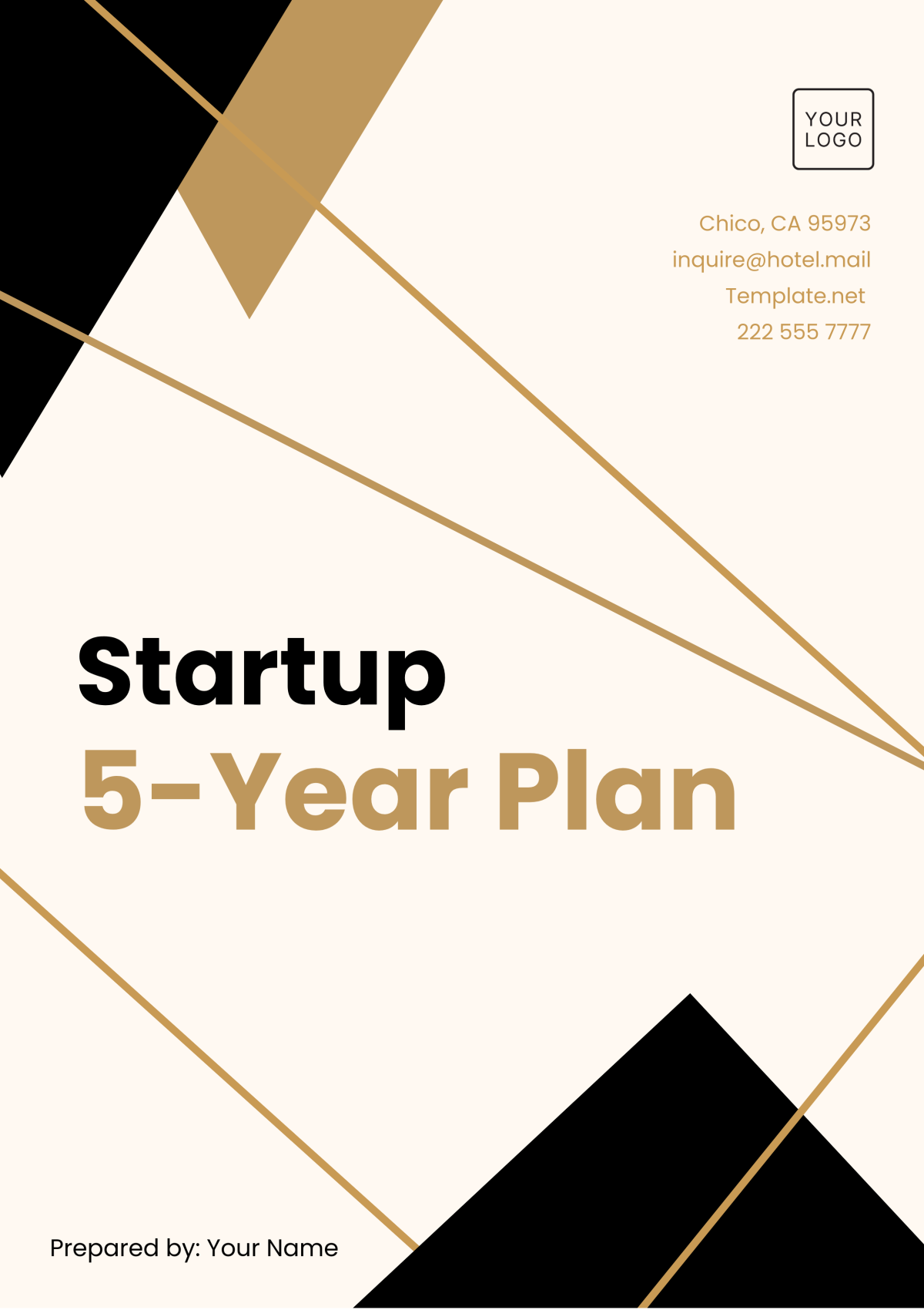 Free Startup 5-Year Plan Template to Edit Online